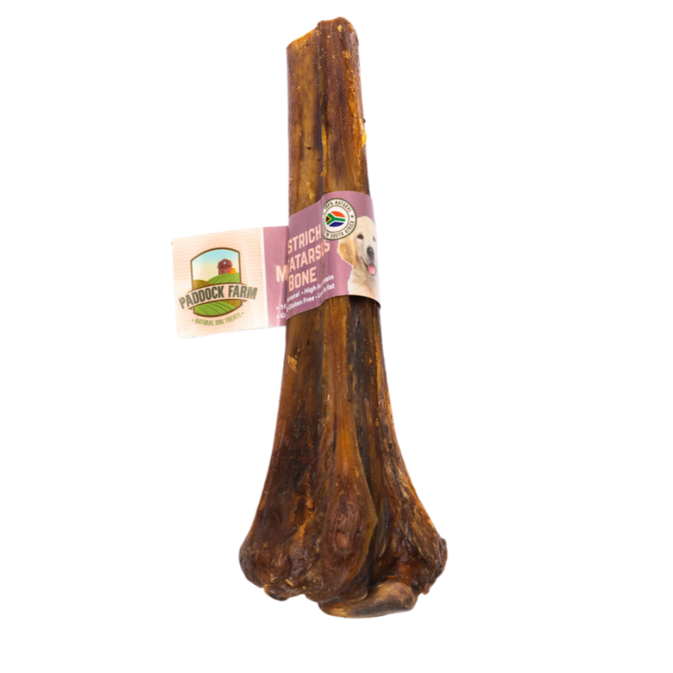 Ostrich Metasaurus Bone Long Lasting Dog Treat