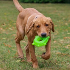 Ice Paws Cooling Toys – Freezable Teething & Summer Dog Toys