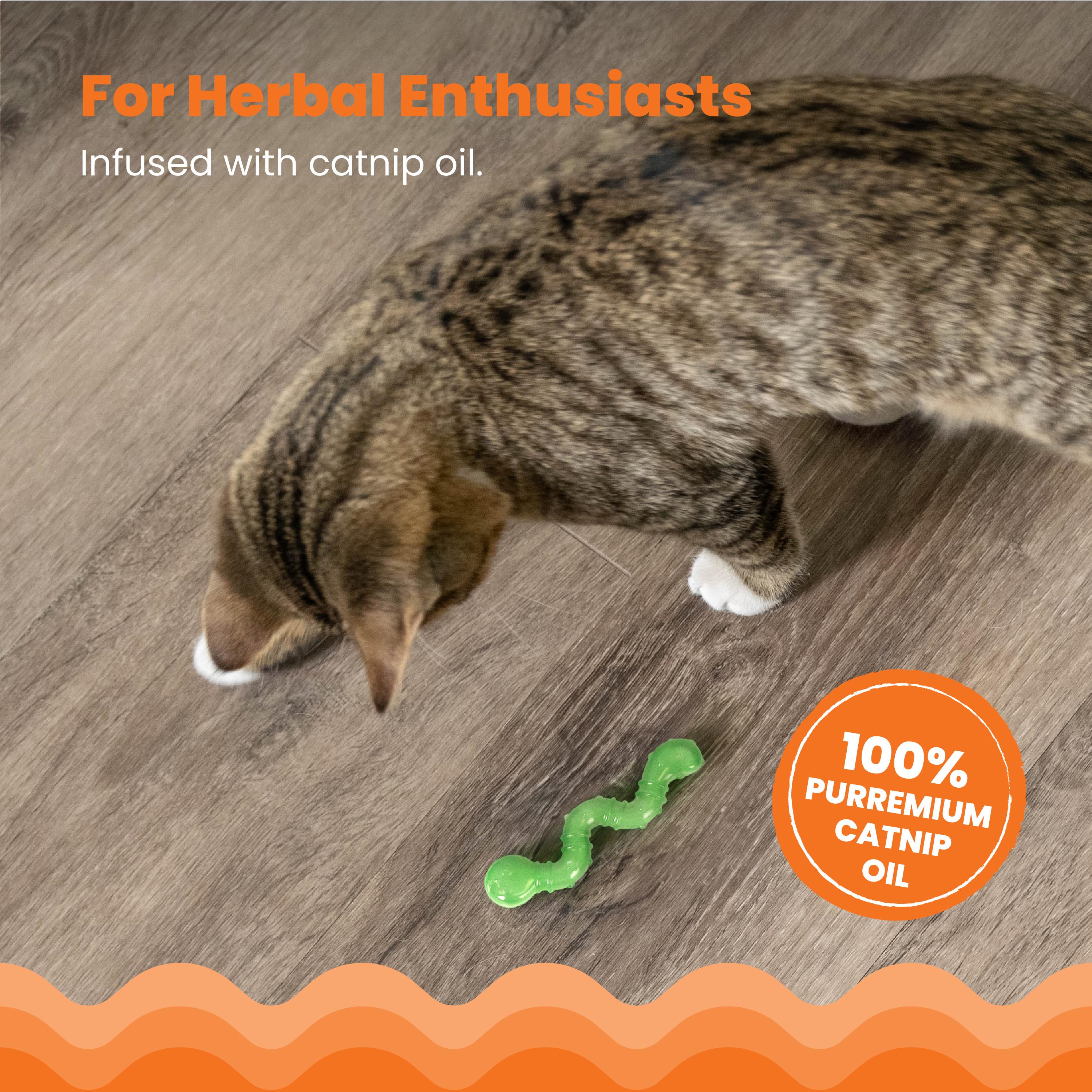 Nina Ottosson Catstages Orkakat Catnip Wiggle Worm Cat Toy – Dental Chew for Kittens & Cats