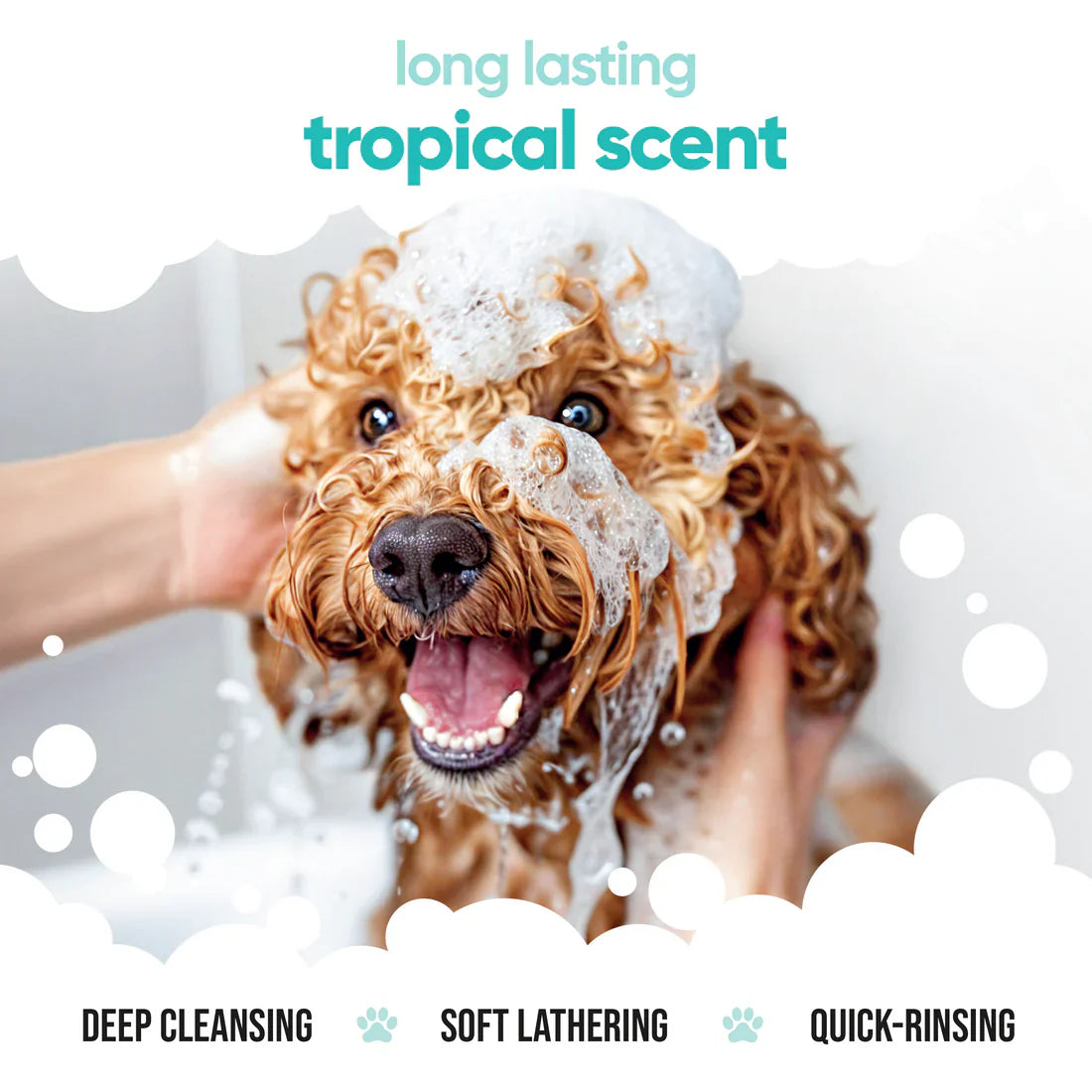 Buddy Care Tropical Dog Shampoo – Fruity Freshness & Gentle Clean 🌴🐶🍍