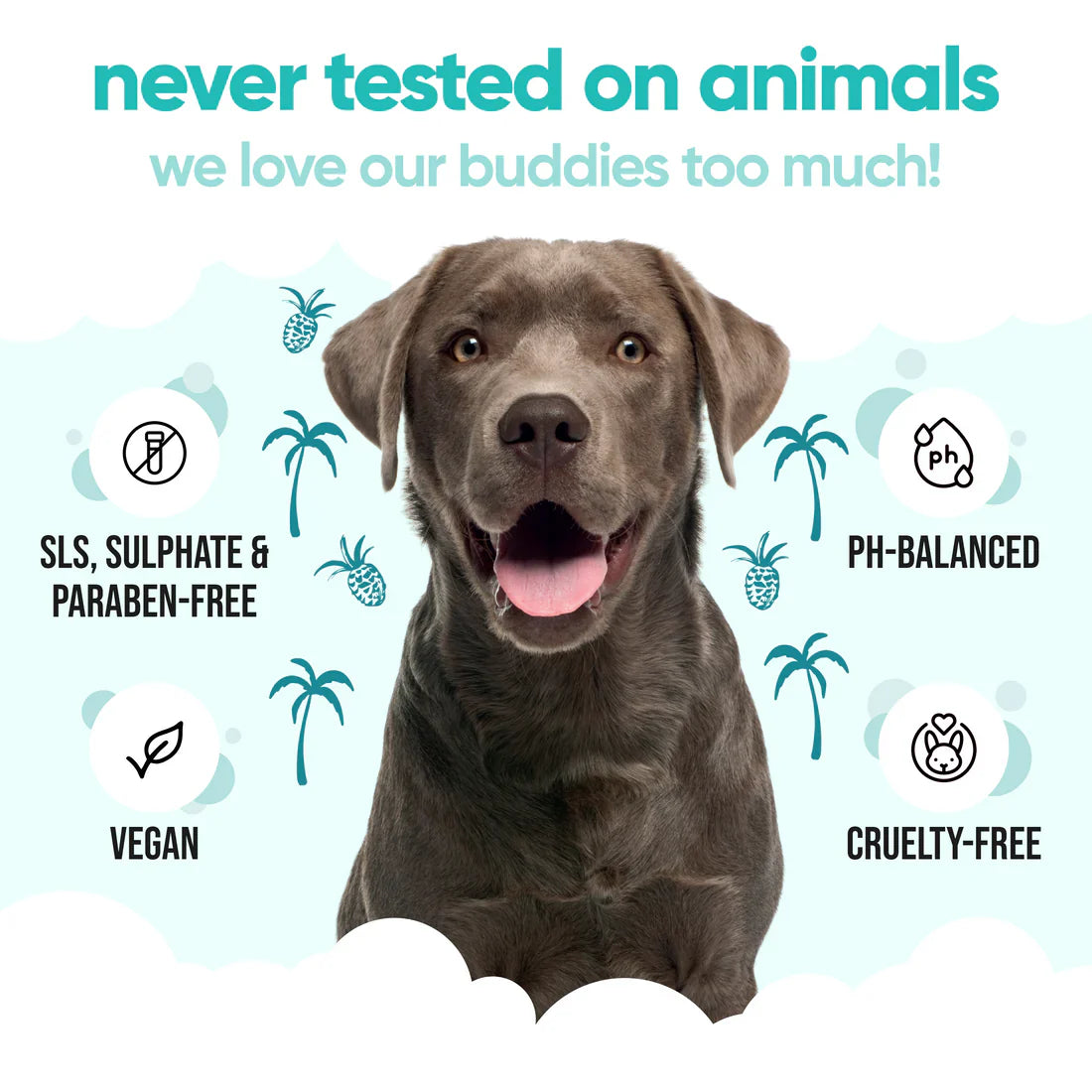 Buddy Care Tropical Dog Shampoo – Fruity Freshness & Gentle Clean 🌴🐶🍍