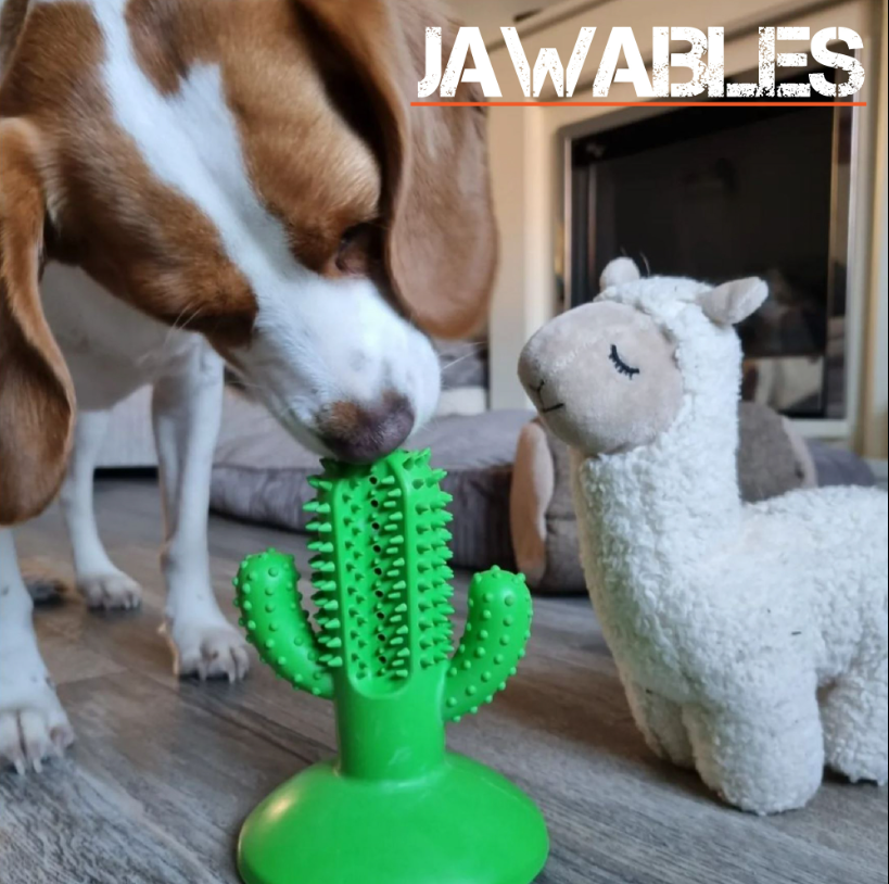 Ancol Orva Cactus Toothbrush For Dogs