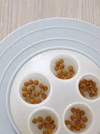 Inooko Cat Igloo Slow Feeder – Interactive Cat & Kitten Toy